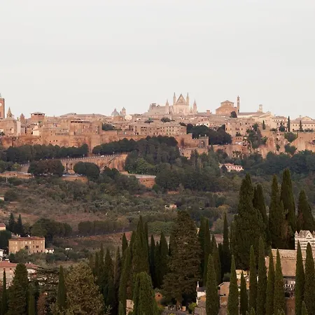 Domus Festina Lente *