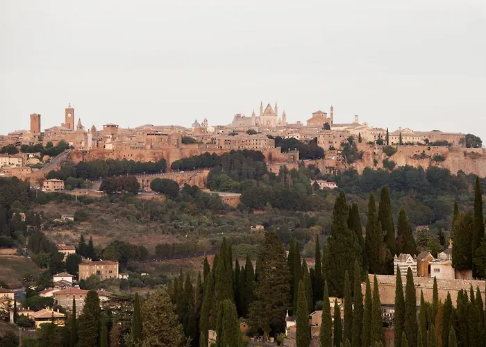 Domus Festina Lente *